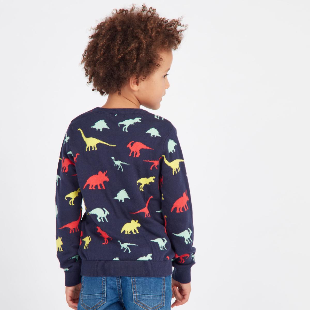 Juniors Dinosaur Print Sweater with Long Sleeves
