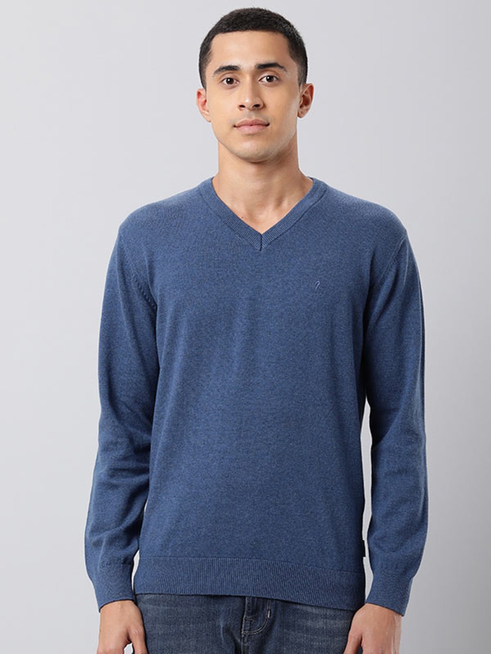 Buy Mens V Neck Sweater Online In India -  India