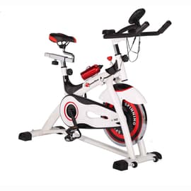 Buy PowerMax Fitness BX-110SX Exercise Magnetic Xbike With Back Rest & 4kg  Flywheel For Home Workout Online at Best Prices in India - JioMart.