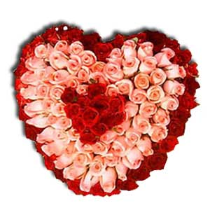 100 Red n Pink Roses Heart Shape Arrangement