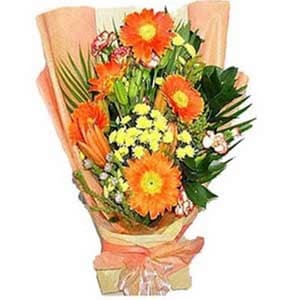 Bunch of Gerberas and Carnations