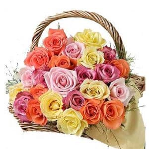 Special Basket of 25 Roses