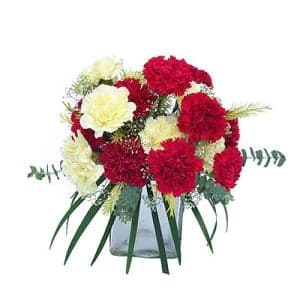 15 Red and white Carnation Flowers