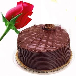 1Kg Chocolate Cake with Single Red Rose