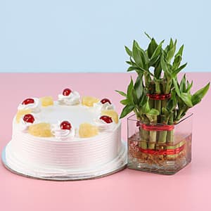 Two Layer Bamboo With Pineapple Cake