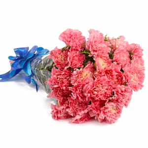 Bunch of 20 Pink Carnations
