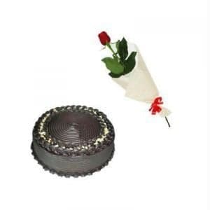 1/2Kg Chocolate Truffle Cake n One Rose