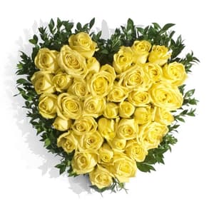 35 Yellow Roses Heart Shape