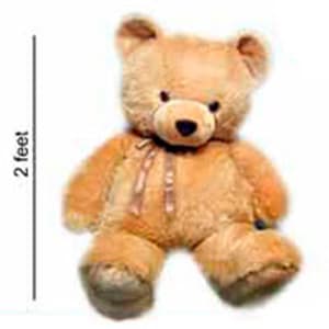 Jumbo Teddy Bear 2ft