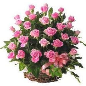 Romantic Basket of 50 Pink Roses