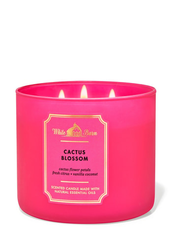 3-Wick Candles Cactus Blossom
