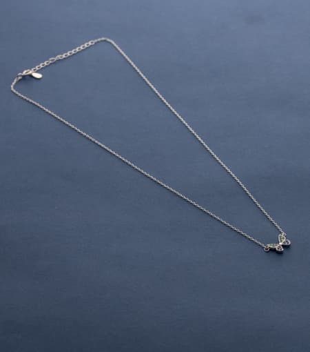Necklace-Silver-FJCP1840533-1.jpg