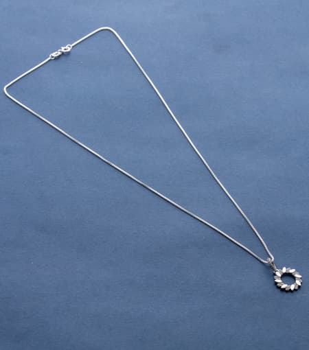 Necklace-Silver-FJPS1837999-1.jpg