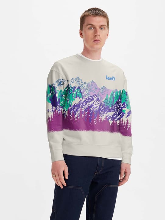 Buy Men's Sweatshirts & Hoodies | Levi's® Official Online Store TH