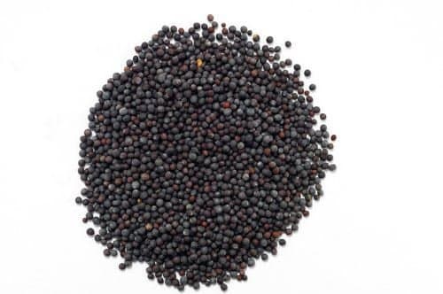 Lens Pure Spices White Mustard Seeds