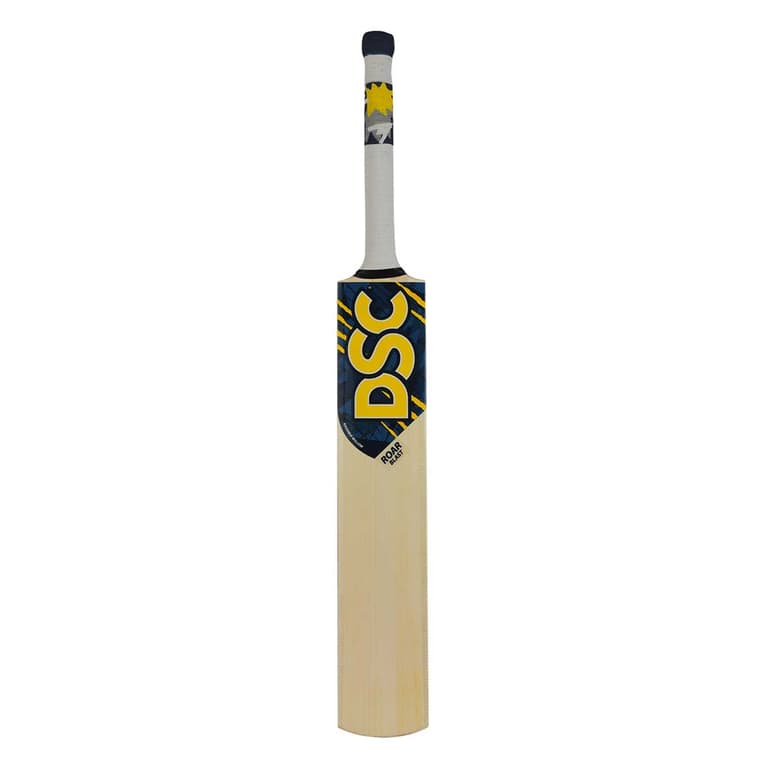 DSC Roar Blast Cricket Bat