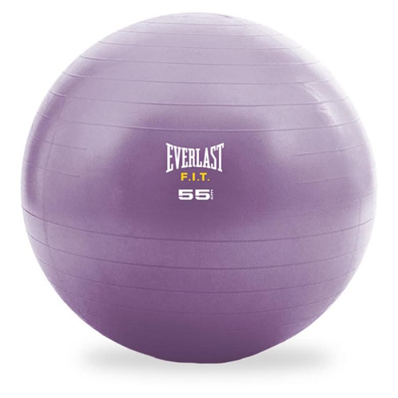 Everlast Stability Ball & Pump (Purple-55cm)