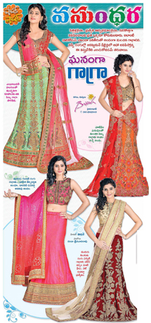 Lehenga / choli is a very unique dress from India