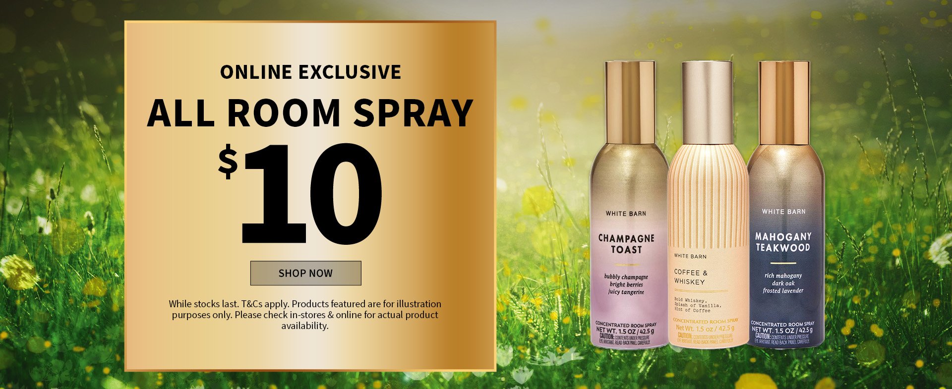 ONLINE EXCLUSIVE ALL ROOM SPRAY $$