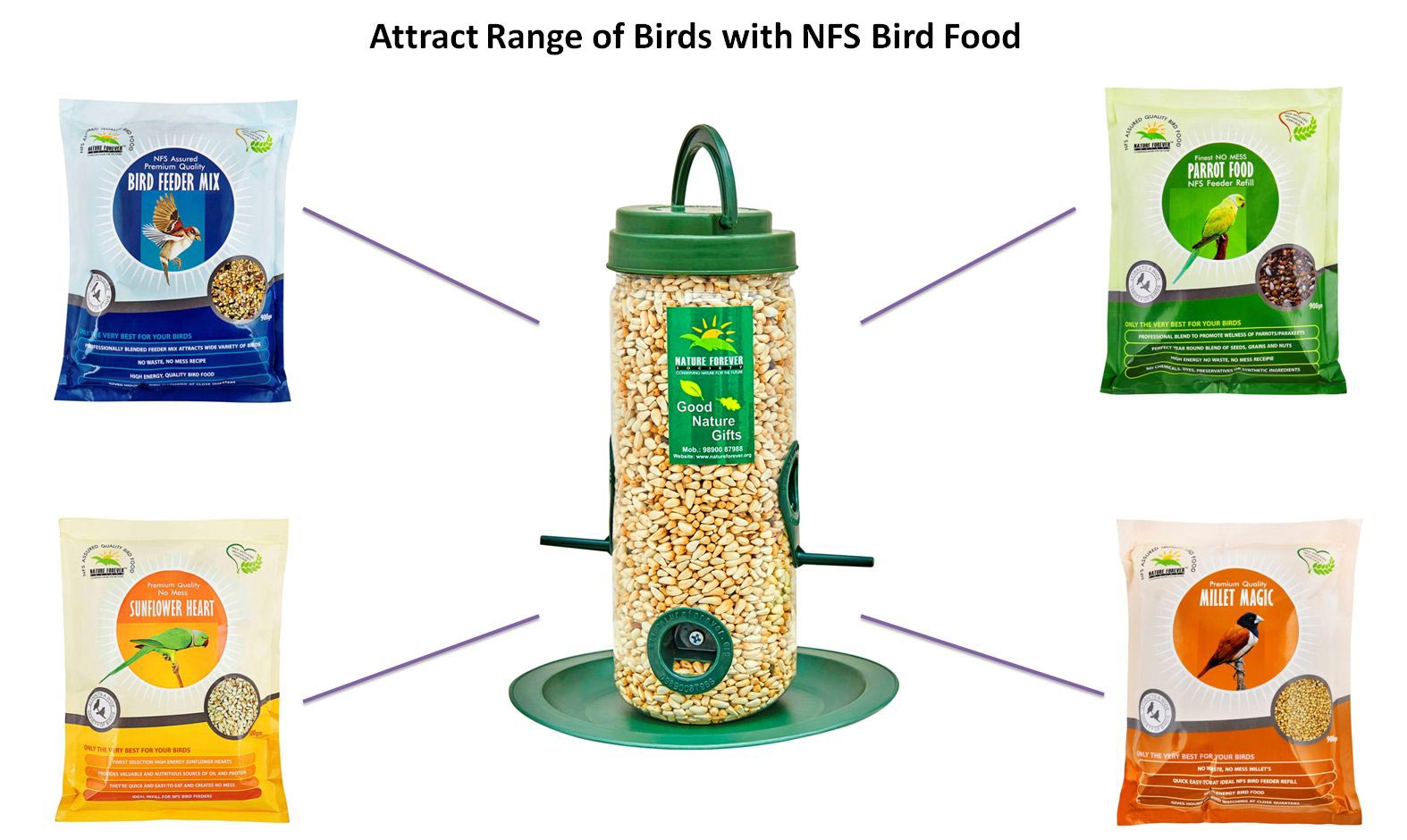 Bird Feeder