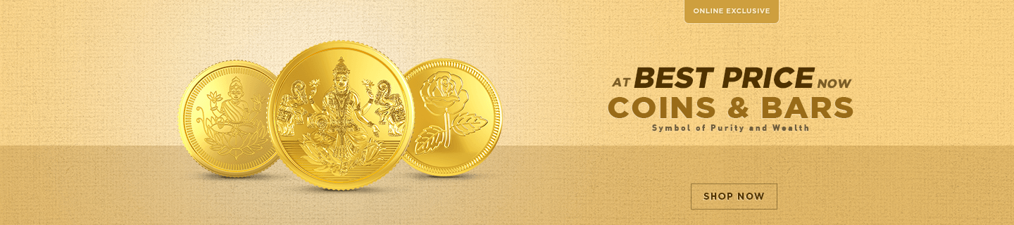 gold-coin-banner_sub-1.png